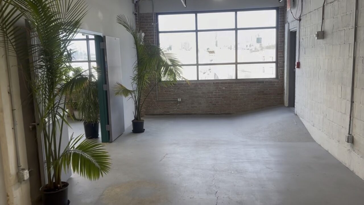 Floor-to-ceiling industrial windows and plants